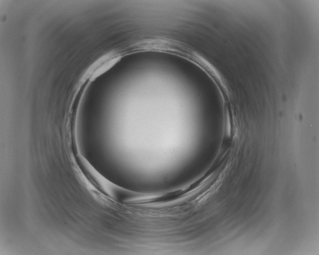 X0000081631434200701151414