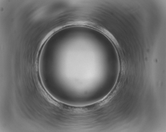 X0000081631436200701151414