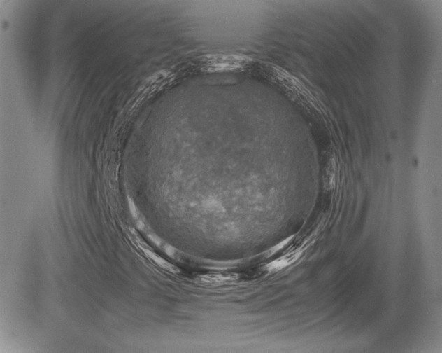 X0000081631441200701151413