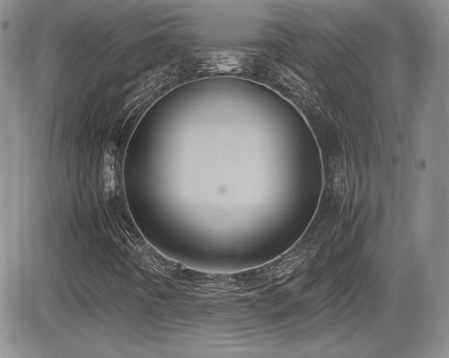 X0000081631442200701151413