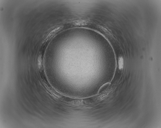 X0000081631444200701151413