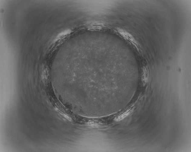 X0000081631445200701151413