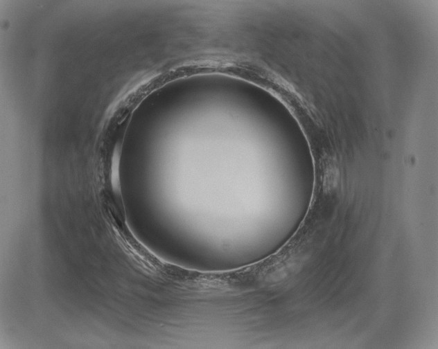 X0000081631448200701151413