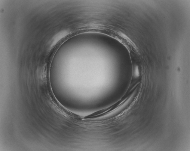 X0000081631450200701151413