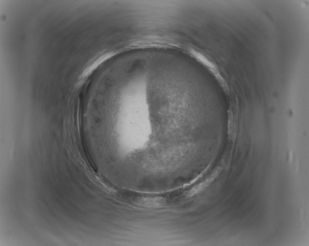 X0000081631453200701151413