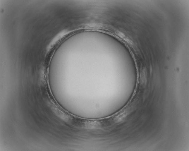 X0000081631454200701151413