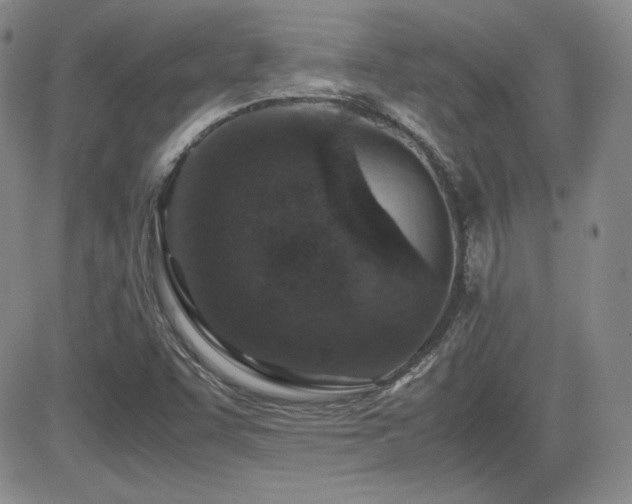 X0000081631455200701151413