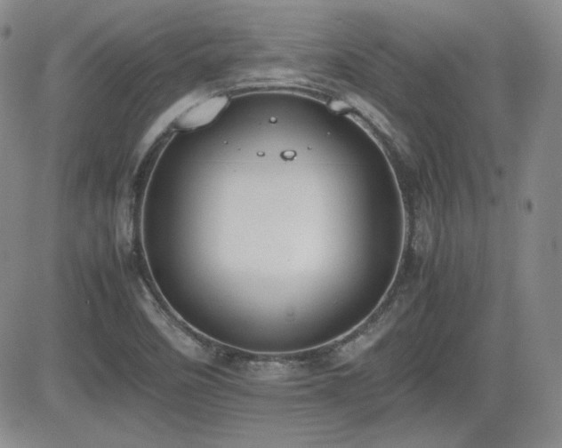 X0000081631458200701151413
