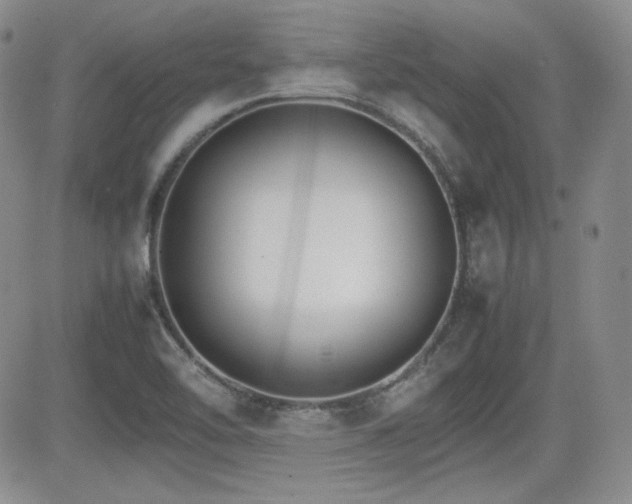 X0000081631462200701151413