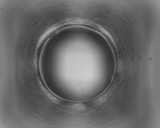 X0000081631464200701151413