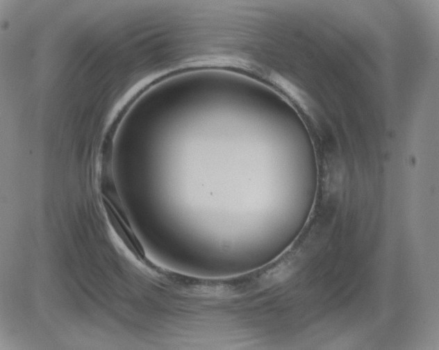 X0000081631468200701151413