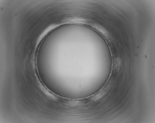 X0000081631470200701151413