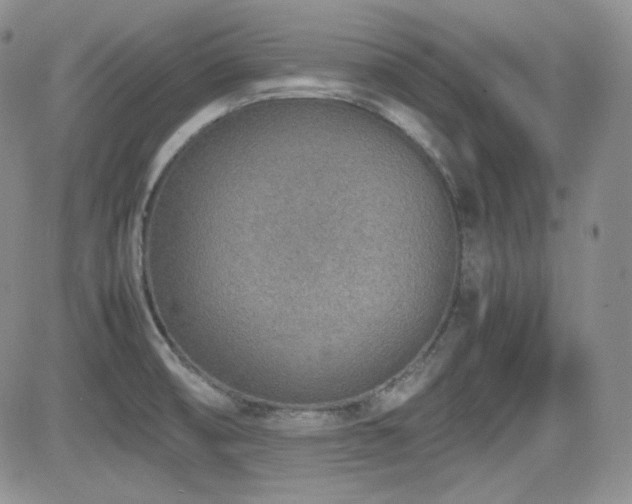 X0000081631474200701151412