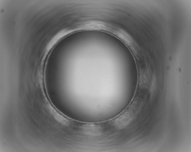 X0000081631478200701151412