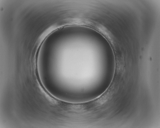 X0000081631479200701151412