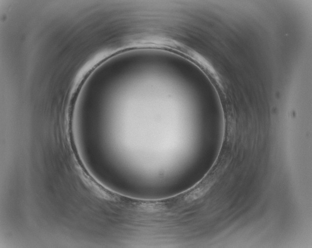 X0000081631480200701151412