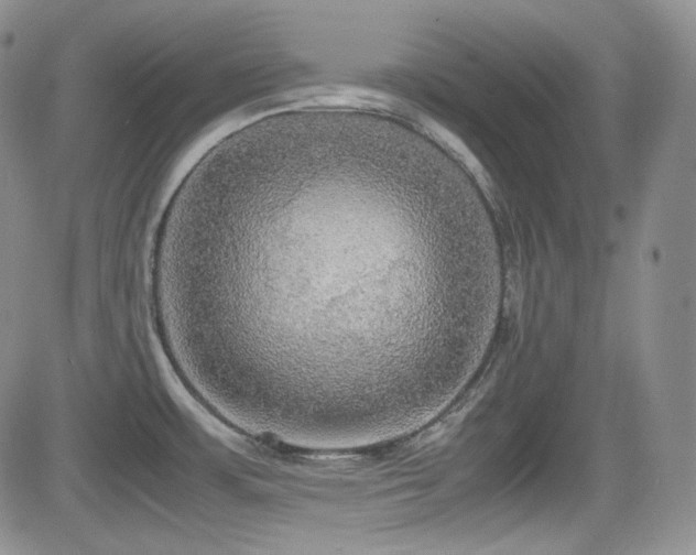 X0000081631483200701151412
