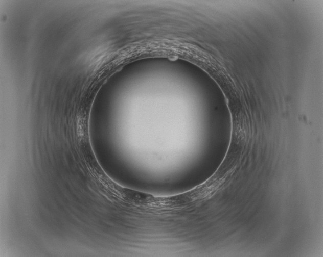 X0000081631490200701151411