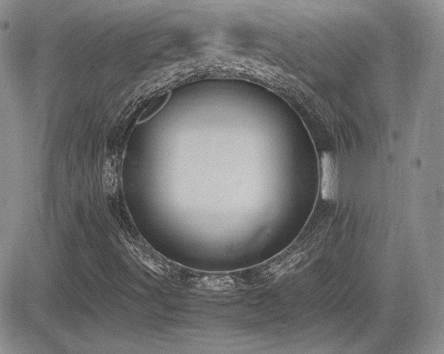 X0000081631491200701151412
