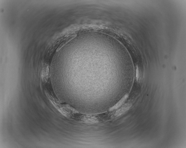 X0000081631492200701151412