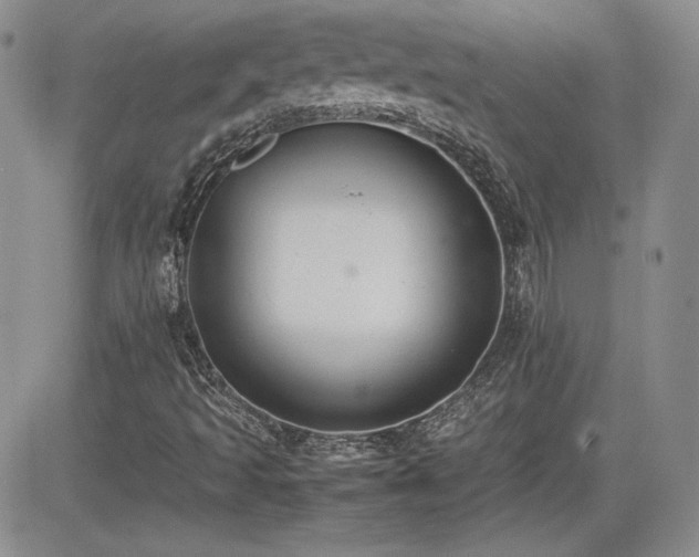 X0000081631493200701151412