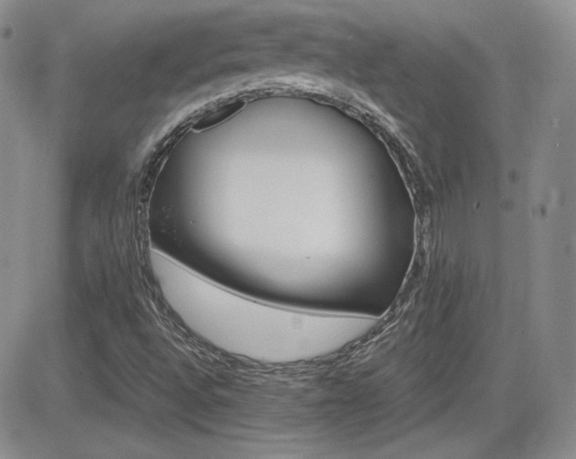 X0000081631496200701151412