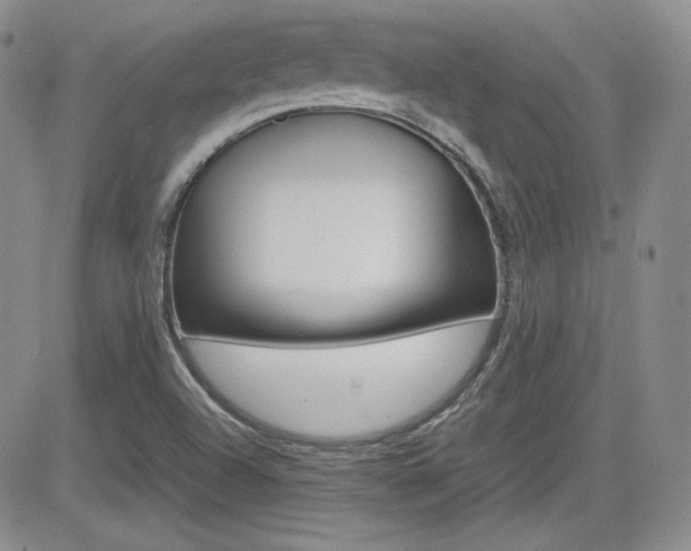 X0000081631504200701151412