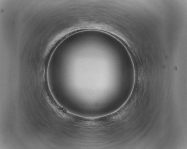 X0000081631507200701151412