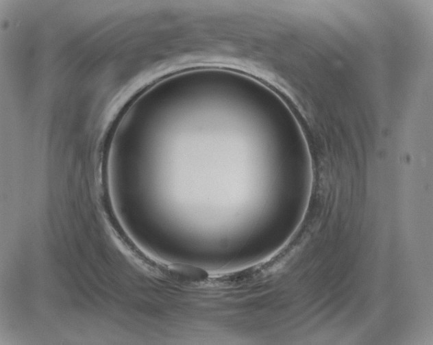 X0000081631511200701151412