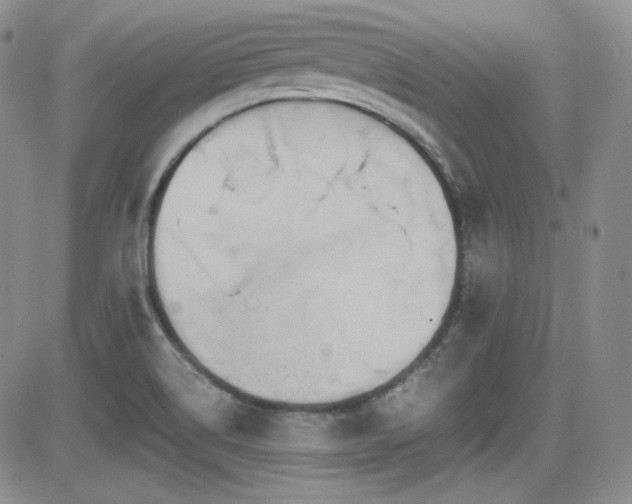 X0000081631514200701151412