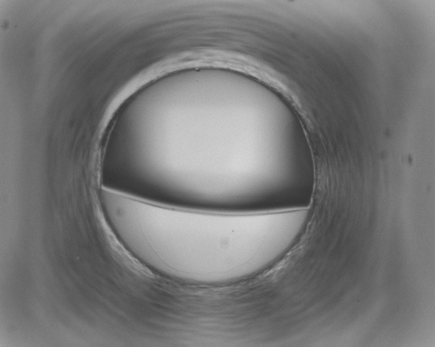 X0000081631522200701151412