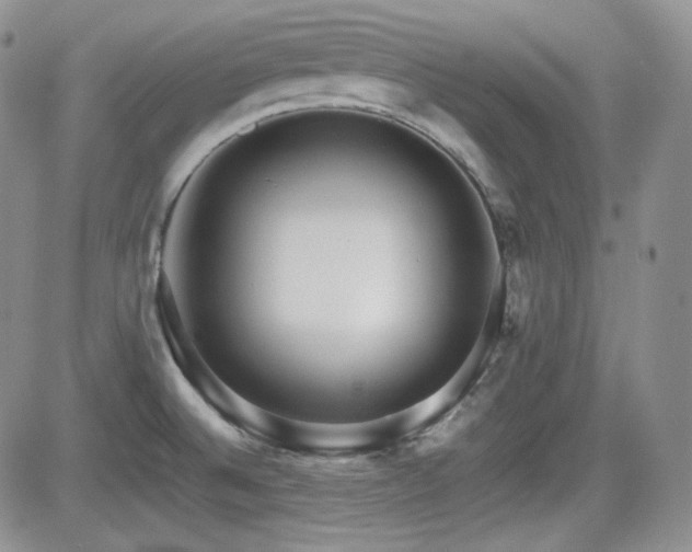 X0000081631524200701151412