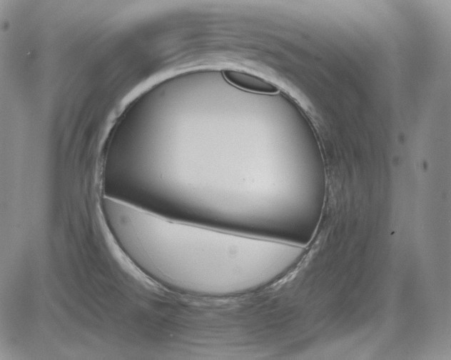 X0000081631526200701151412