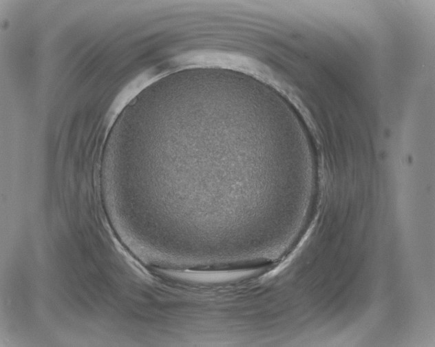 X0000081631529200701151412