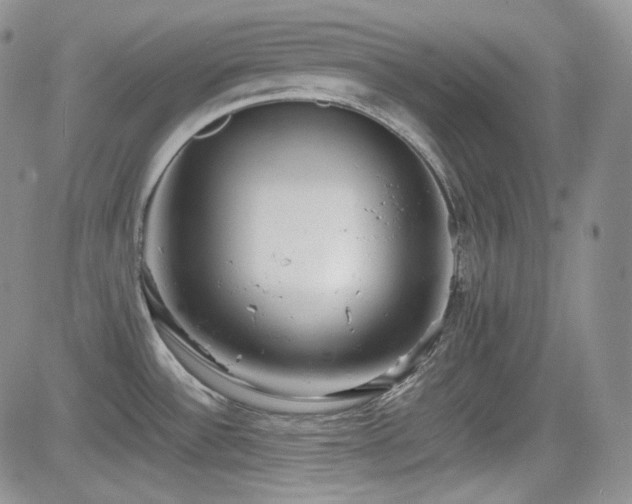X0000081631532200701151412