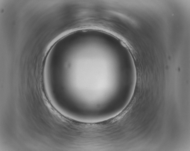 X0000081631534200701151412