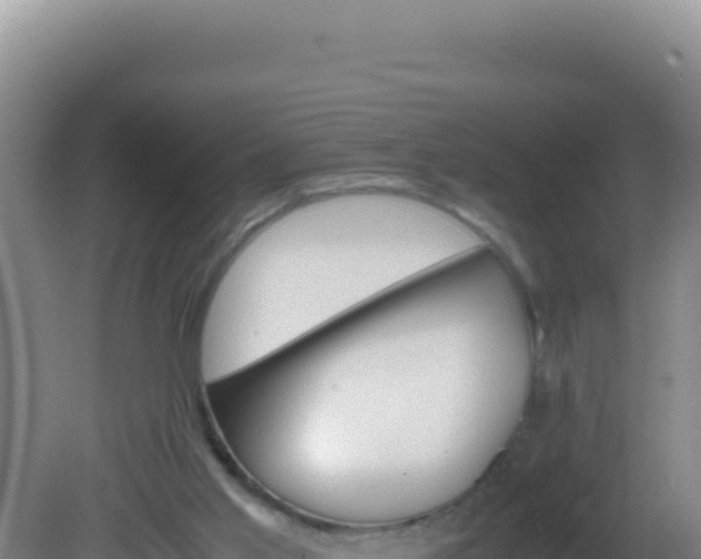X0000081630013200701221306
