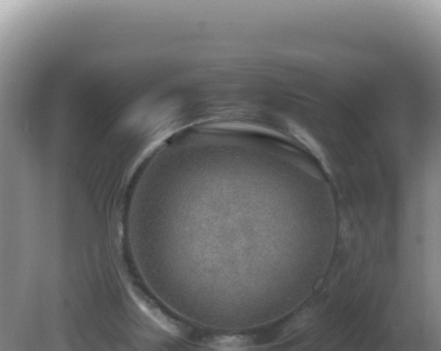 X0000081630059200701221304