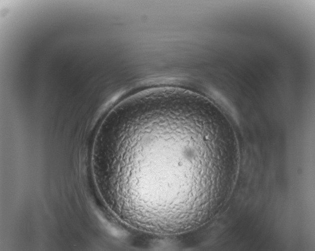 X0000081630107200701221304