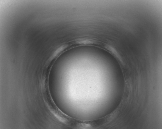 X0000081630159200701221303