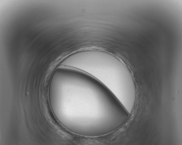 X0000081630193200701221303