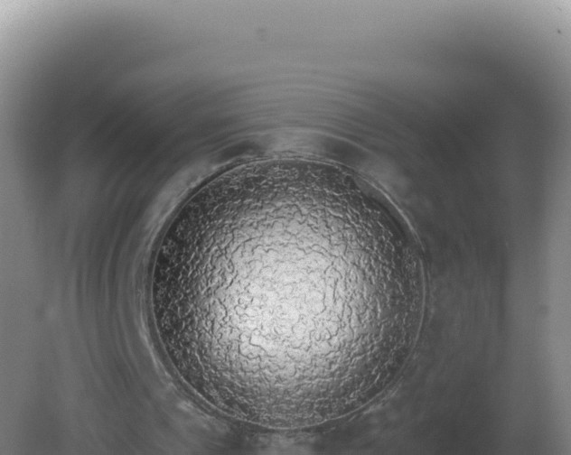 X0000081630241200701221301