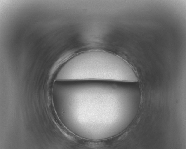 X0000081630245200701221301
