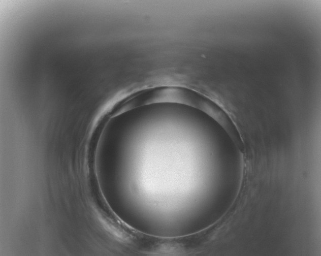 X0000081630248200701221301