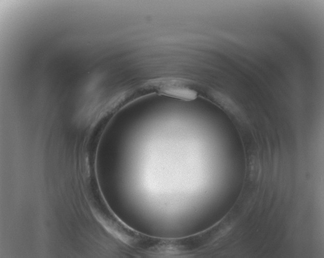 X0000081630254200701221301