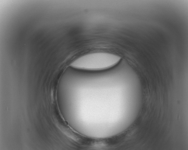 X0000081630262200701221301
