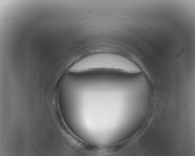 X0000081630305200701221301