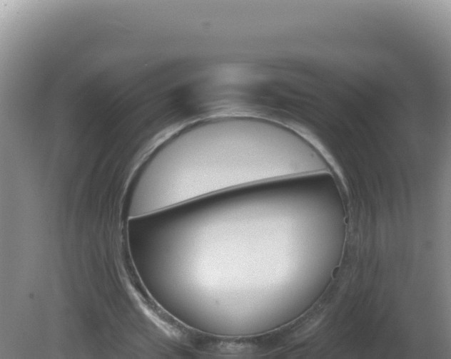 X0000081630437200701221258