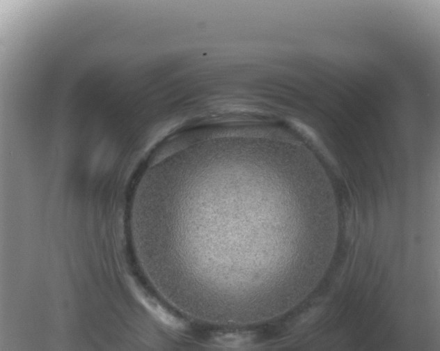 X0000081630447200701221258