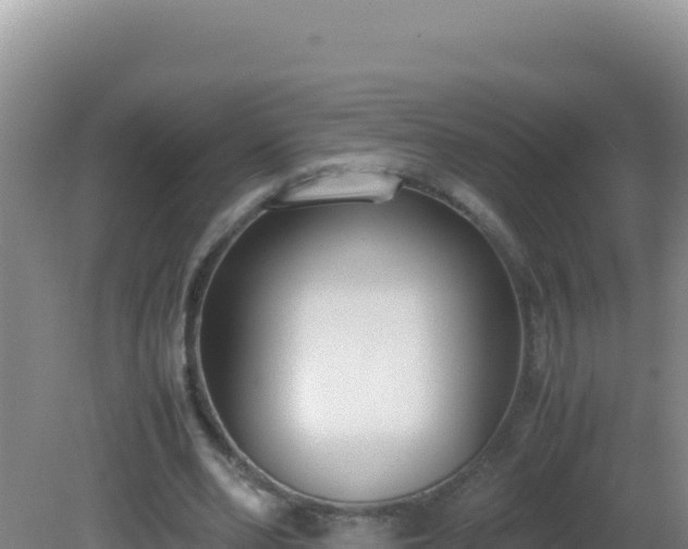 X0000081630486200701221258